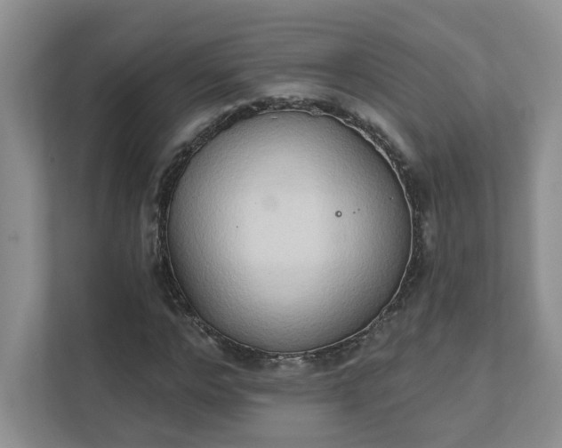 X0000111520968200907211221