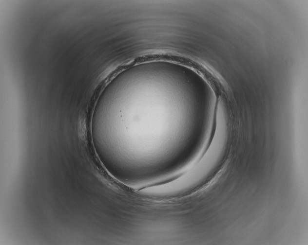 X0000111520969200907211221
