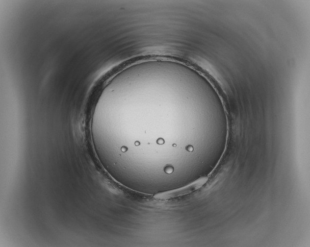 X0000111520971200907211221