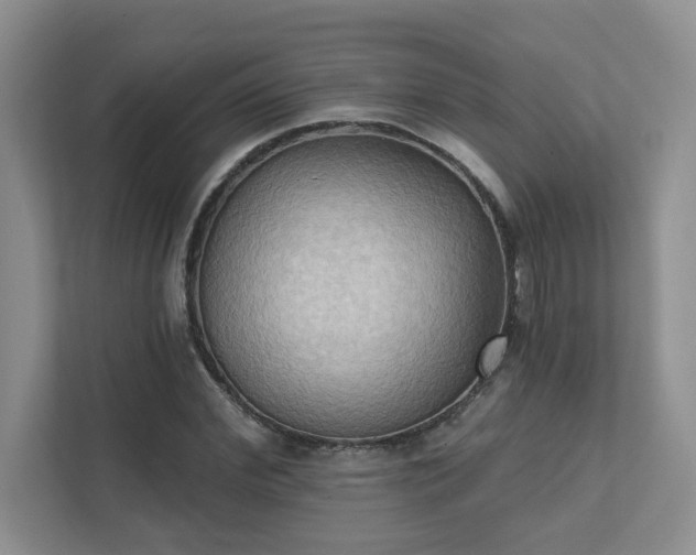X0000111520972200907211220
