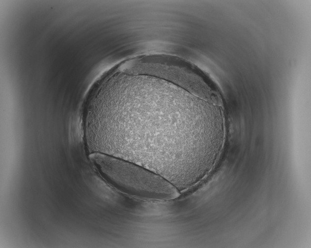 X0000111520973200907211220