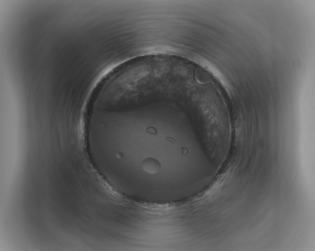 X0000111520975200907211220