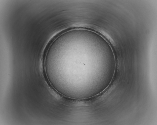 X0000111520976200907211220