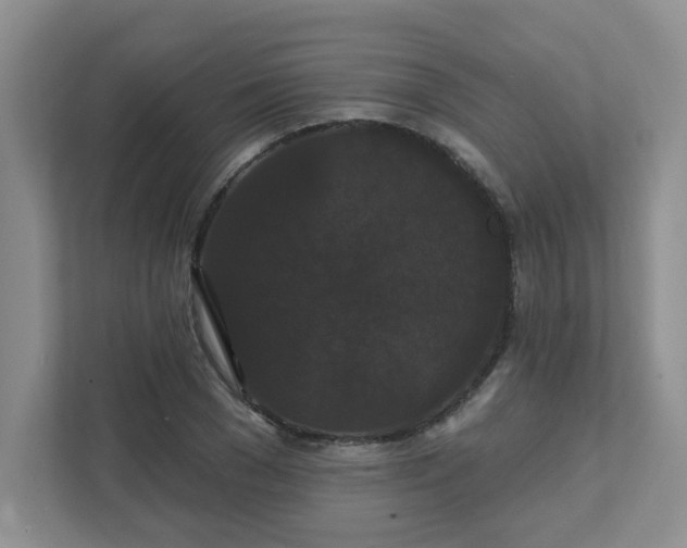 X0000111520977200907211220