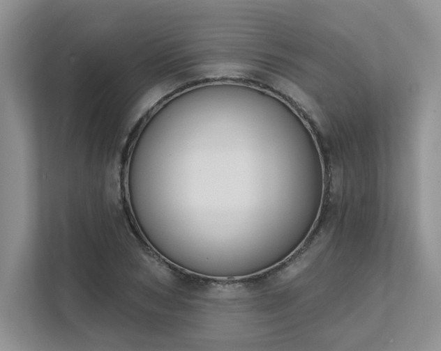 X0000111520978200907211220