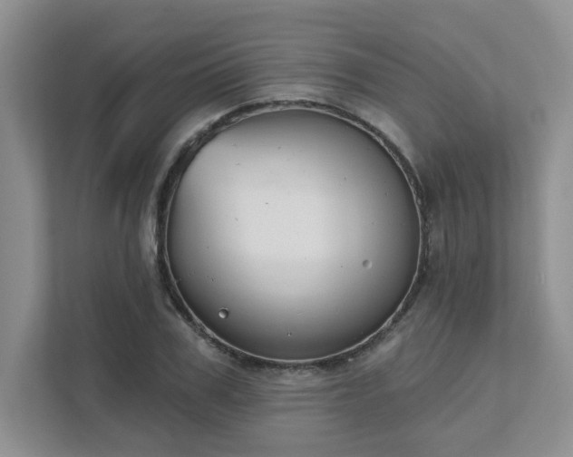 X0000111520979200907211220