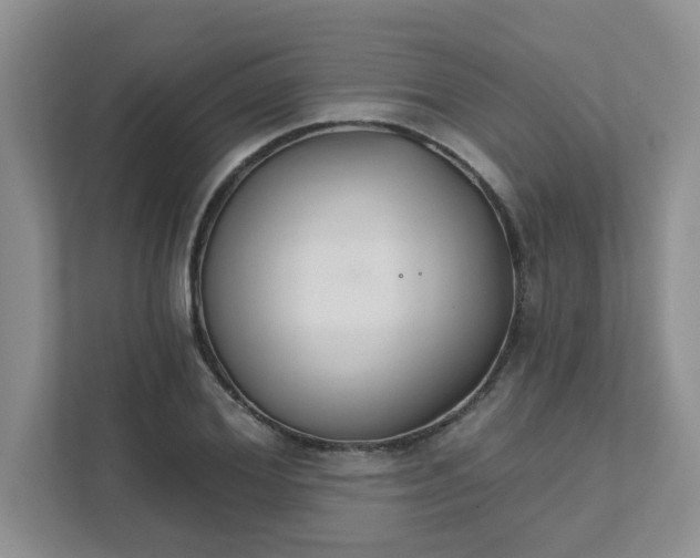 X0000111520980200907211220