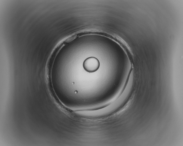 X0000111520981200907211220