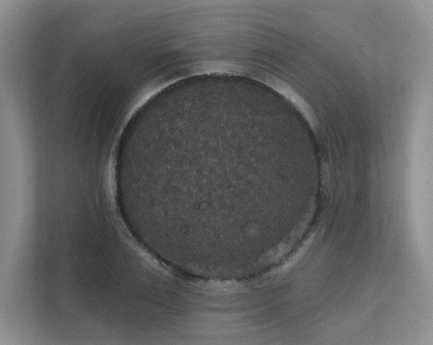 X0000111520983200907211220