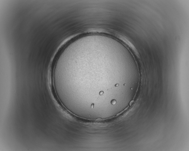 X0000111520984200907211220
