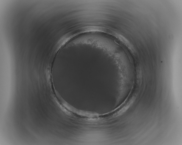 X0000111520985200907211220