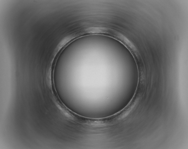X0000111520986200907211220