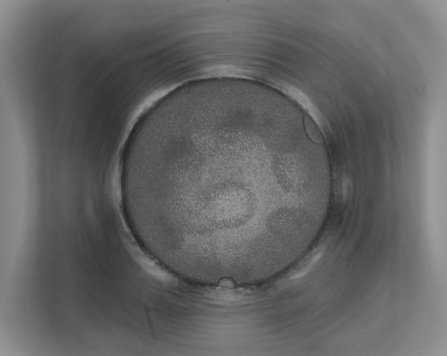 X0000111520987200907211220