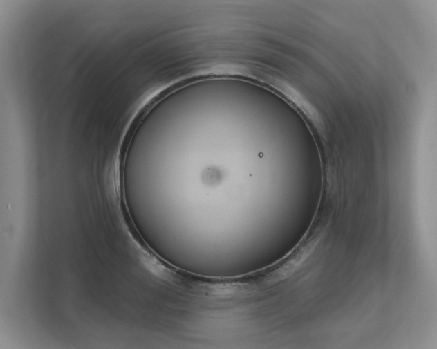 X0000111520988200907211220