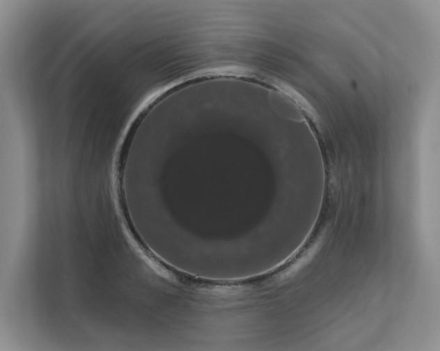 X0000111520989200907211220