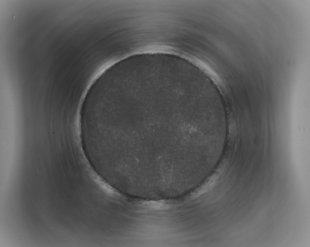X0000111520990200907211220