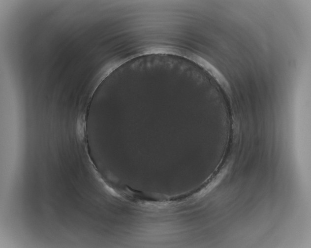X0000111520993200907211220