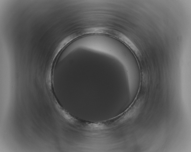 X0000111520994200907211220