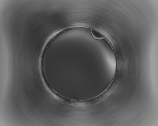 X0000111520995200907211220