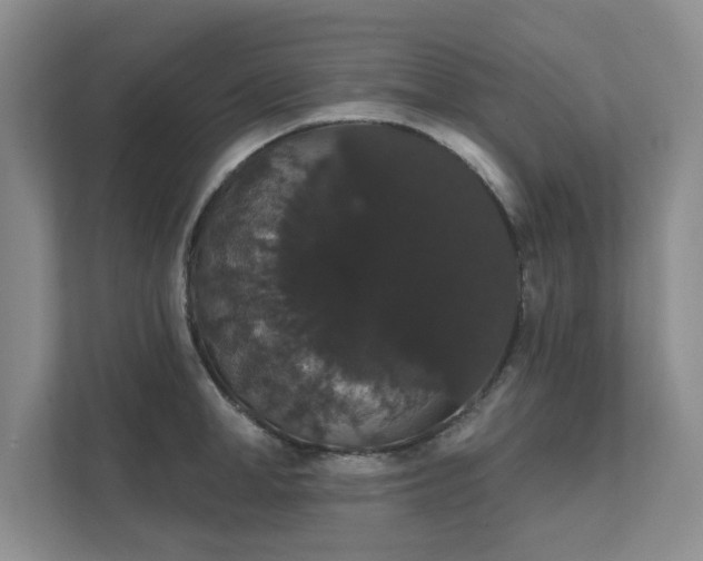 X0000111520998200907211220