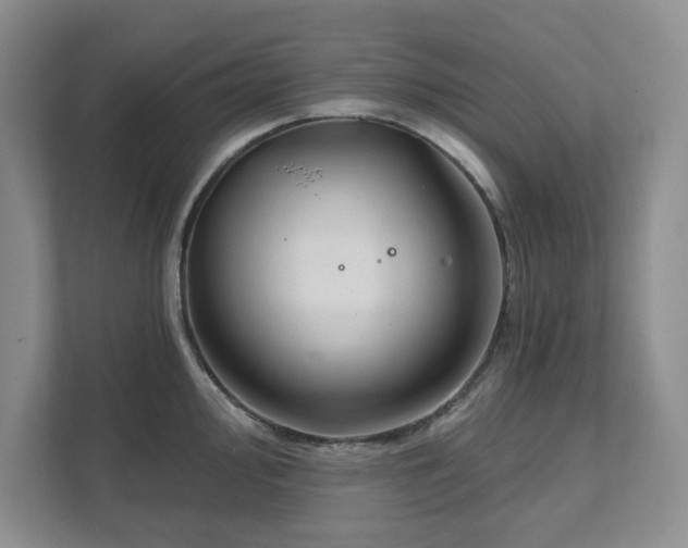 X0000111521000200907211220