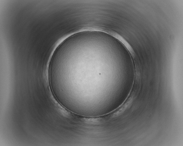 X0000111521004200907211220