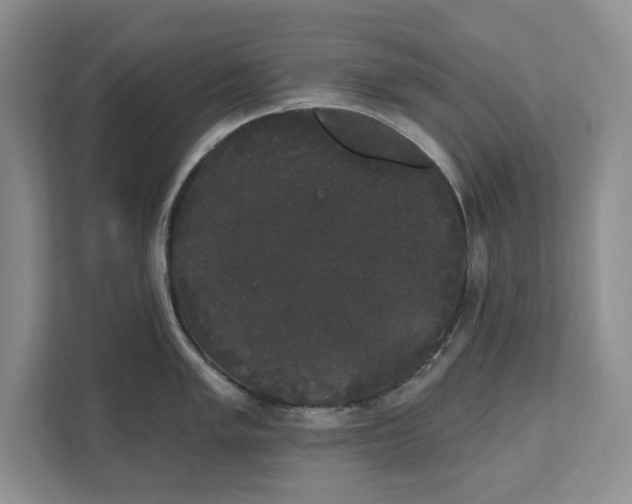 X0000111521005200907211220