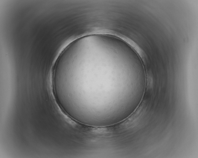 X0000111521006200907211220