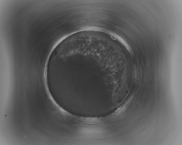 X0000111521007200907211220