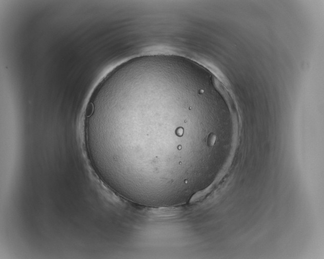 X0000111521008200907211220