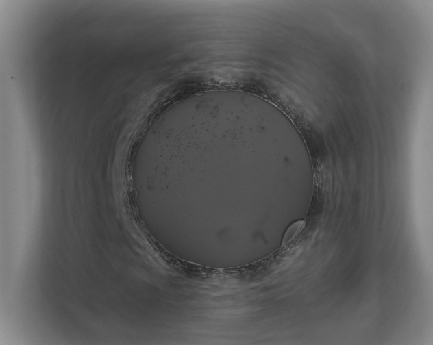 X0000111521009200907211219