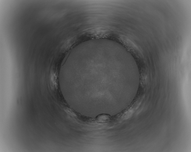 X0000111521010200907211219