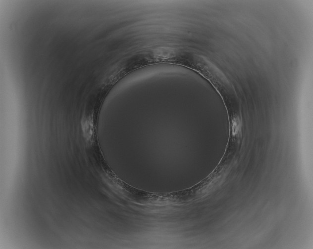 X0000111521011200907211219