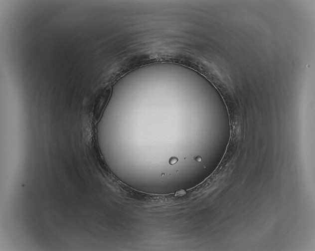 X0000111521012200907211219