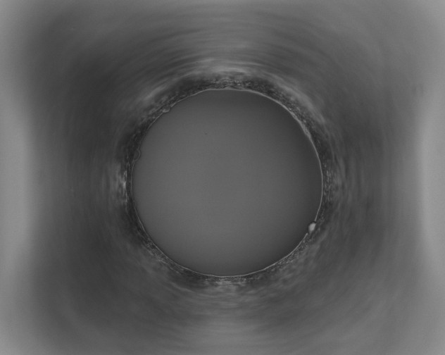 X0000111521013200907211219