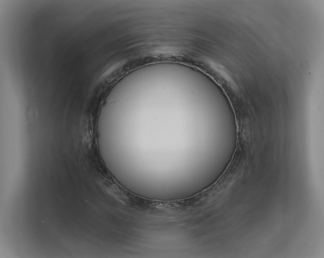 X0000111521015200907211219