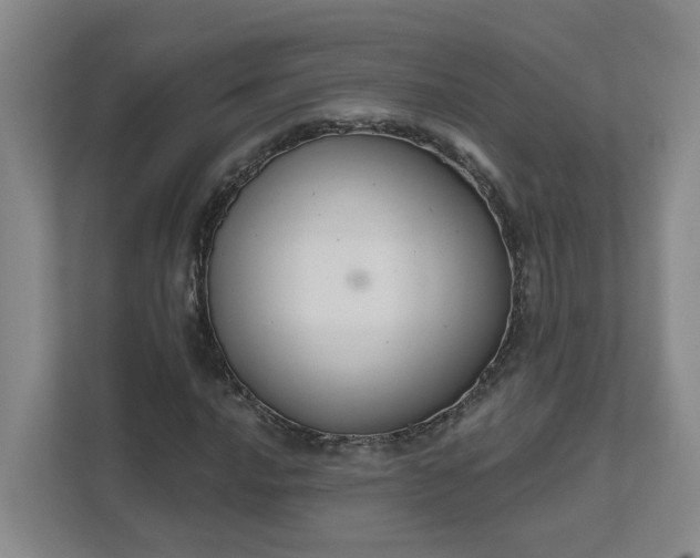 X0000111521016200907211219