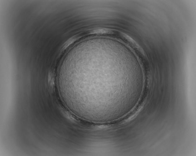 X0000111521017200907211219