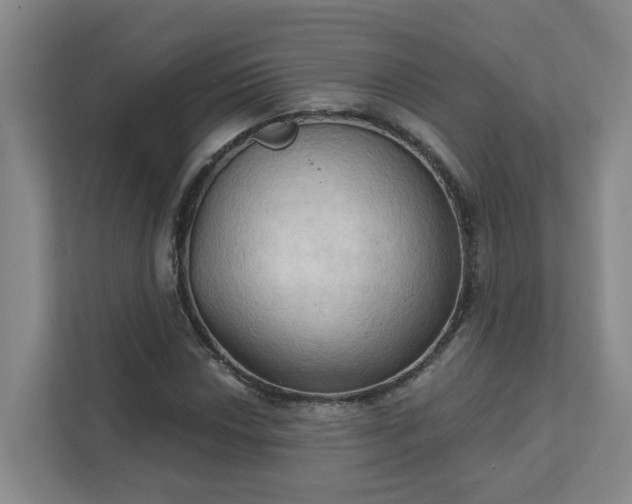 X0000111521018200907211219