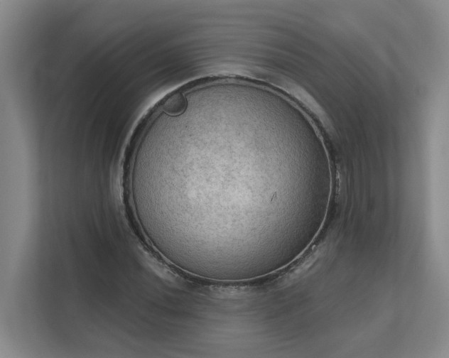 X0000111521020200907211220