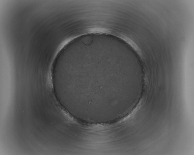 X0000111521022200907211220