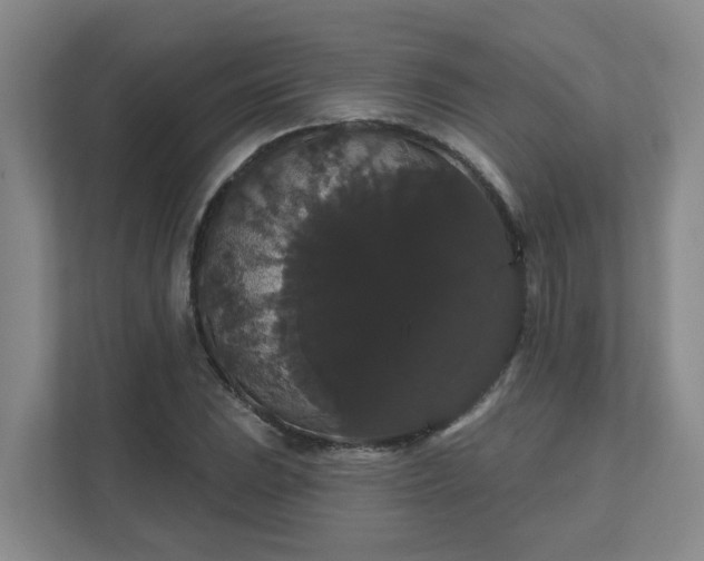 X0000111521023200907211220