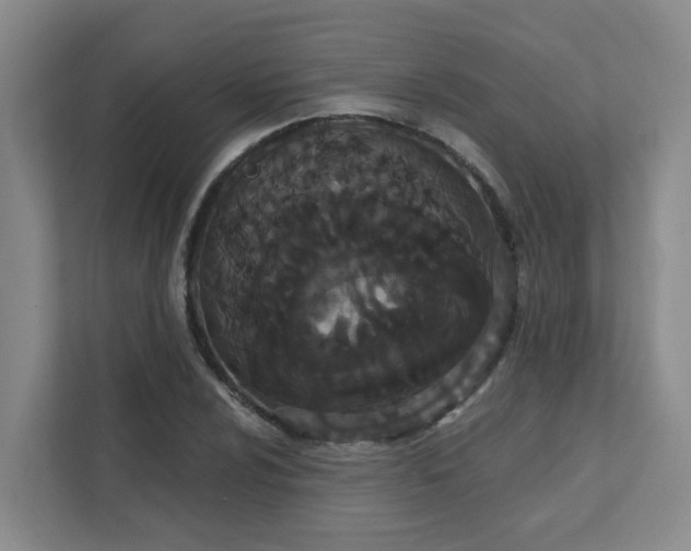X0000111521024200907211220