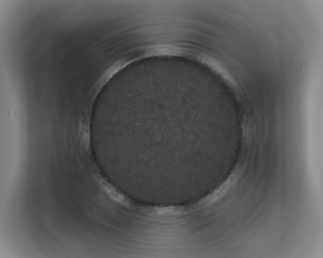 X0000111521025200907211220