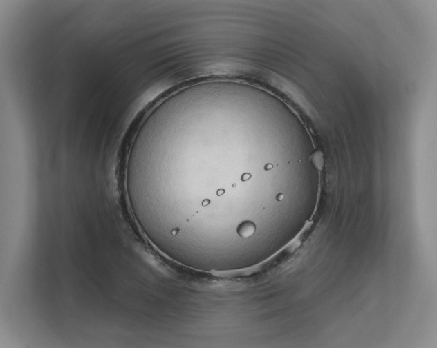 X0000111521026200907211220