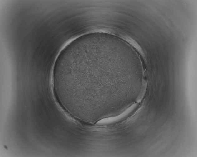 X0000111521028200907211220