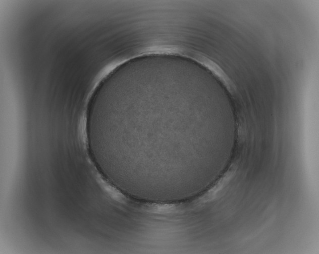 X0000111521030200907211220