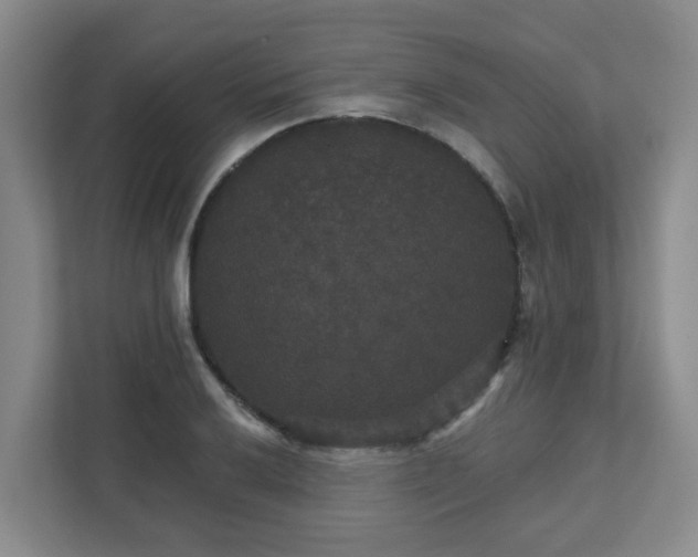 X0000111521032200907211220