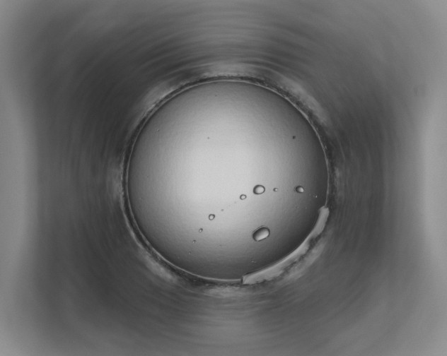 X0000111521033200907211220