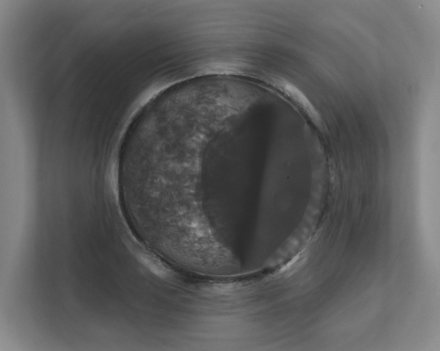 X0000111521035200907211220